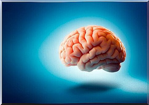 brain on blue background