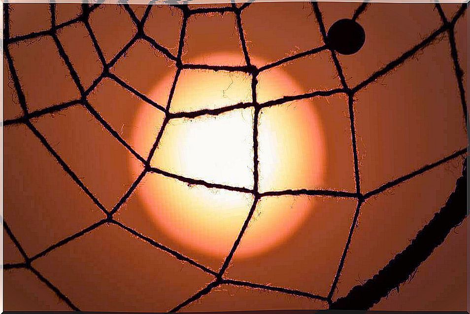 sun seen by spider web