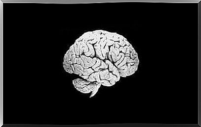 Human brain against black background