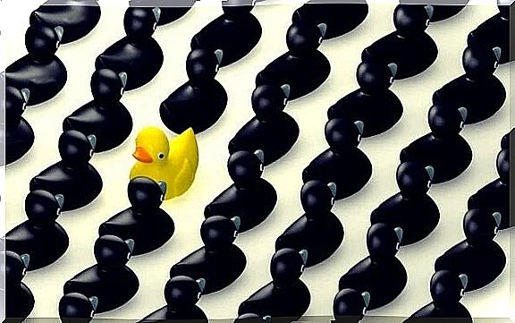 be different from the rest