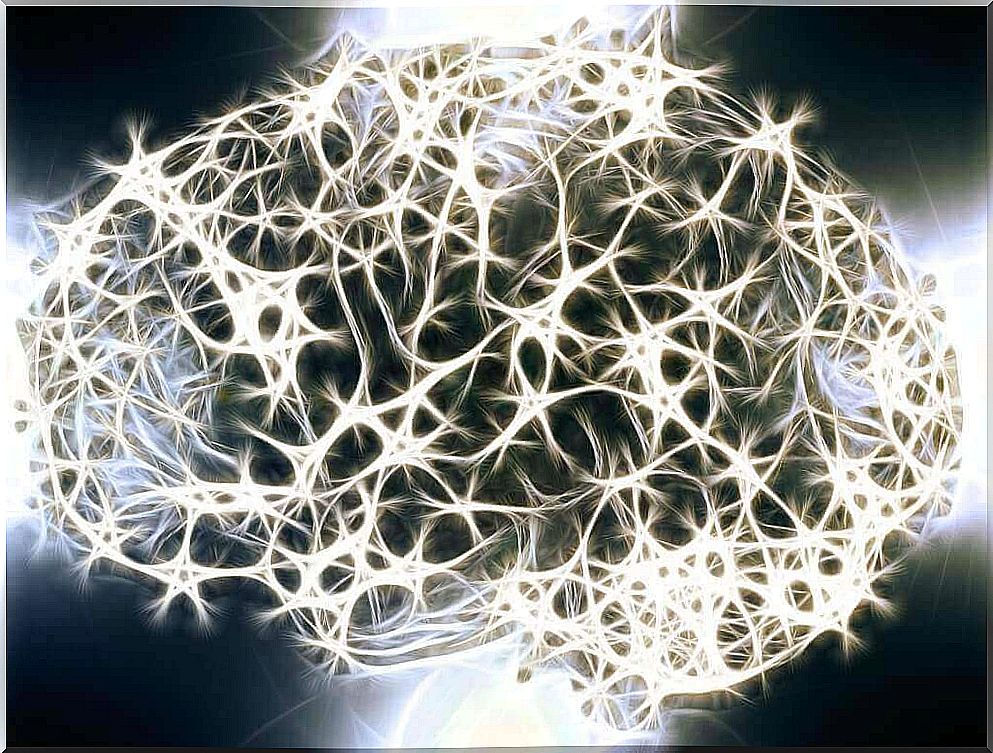 brain neurons