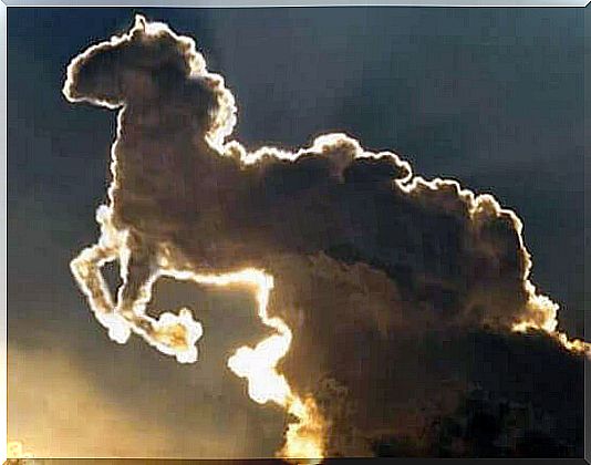 horse-shaped cloud