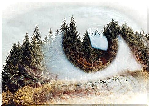 Landscape and eye merged into one