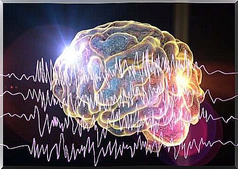 brain waves