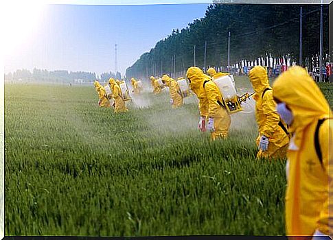 The Effects of Pesticides on the Brain 