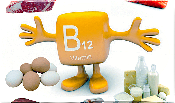 The Importance of Vitamin B12