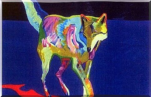 colorful wolf illustration