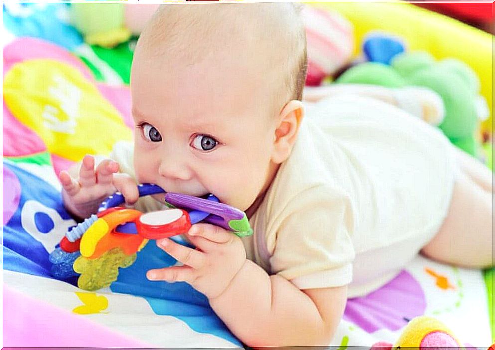 baby biting toys